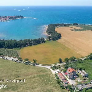 Mijat , Novigrad Istria Kroatien